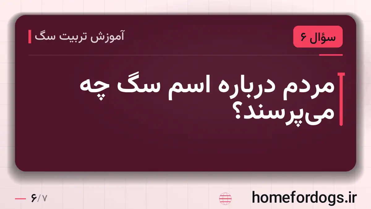 مردم درباره اسم سگ چه می‌پرسند؟