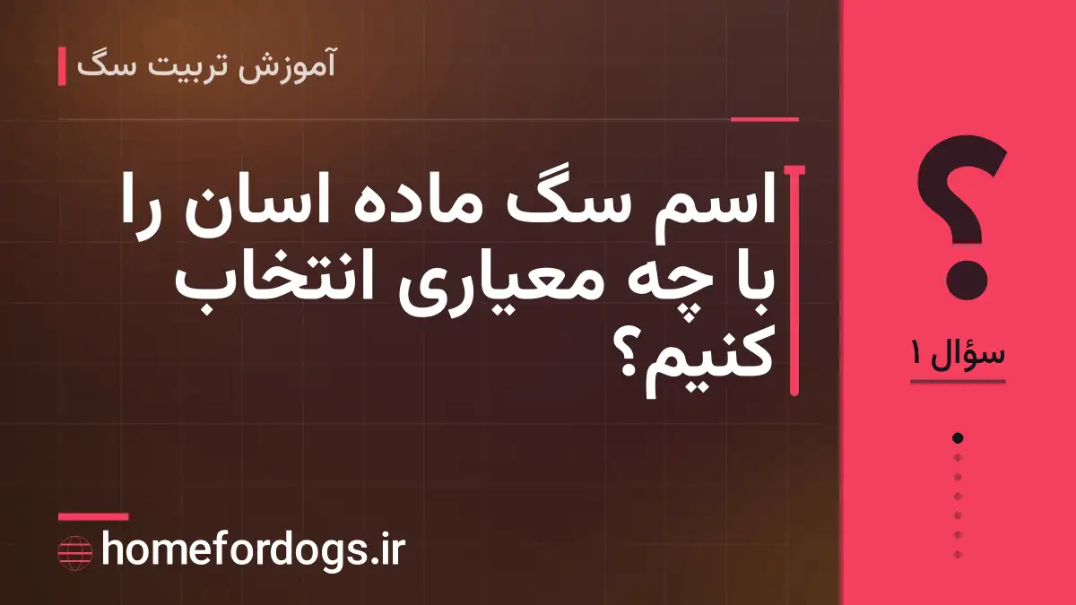اسم سگ ماده اسان را با چه معیاری انتخاب کنیم؟