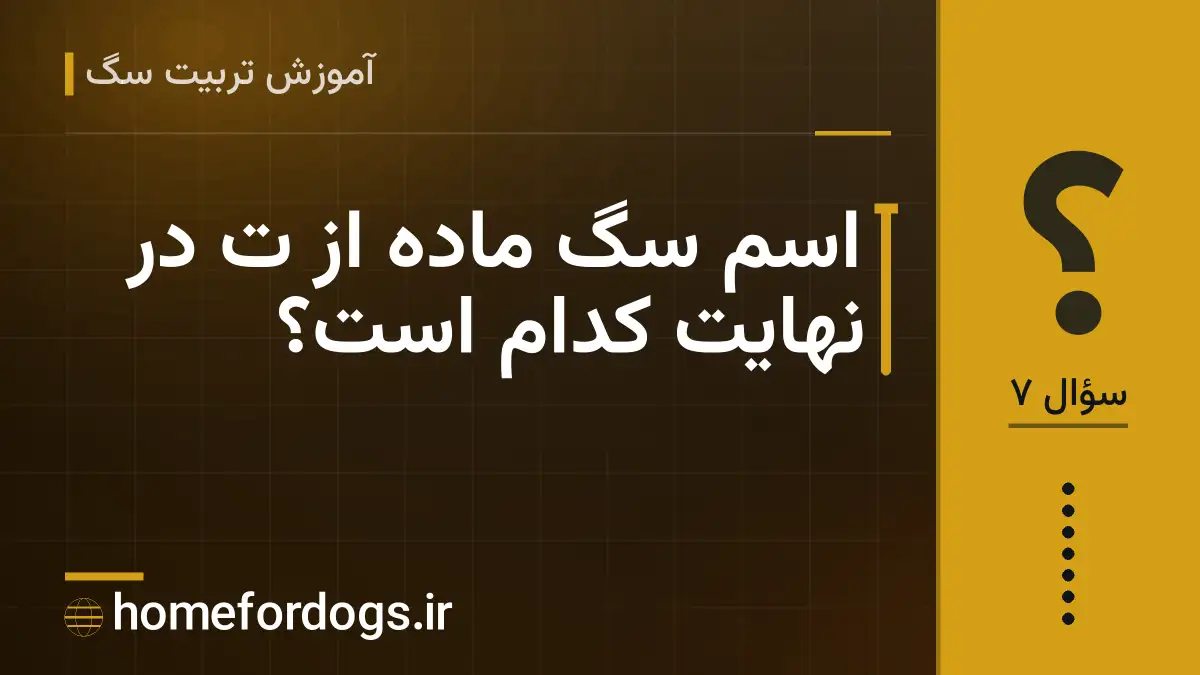 اسم سگ ماده از ت در نهایت کدام است؟