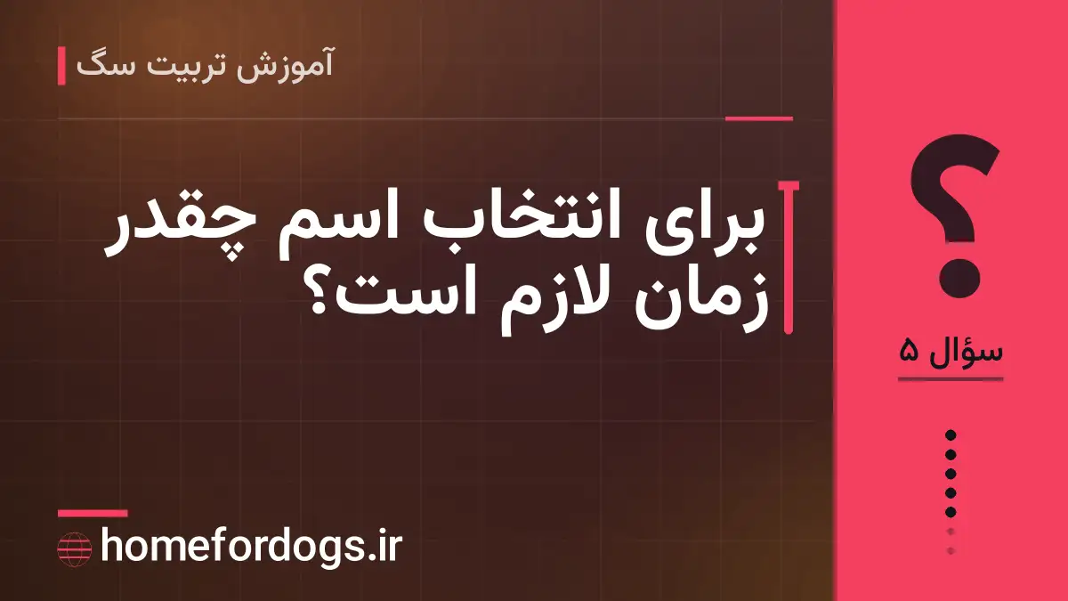 برای انتخاب اسم چقدر زمان لازم است؟