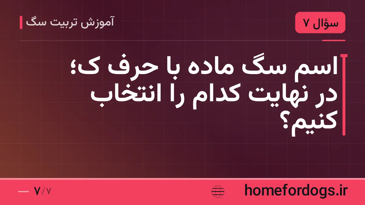اسم سگ ماده با حرف ک؛ در نهایت کدام را انتخاب کنیم؟