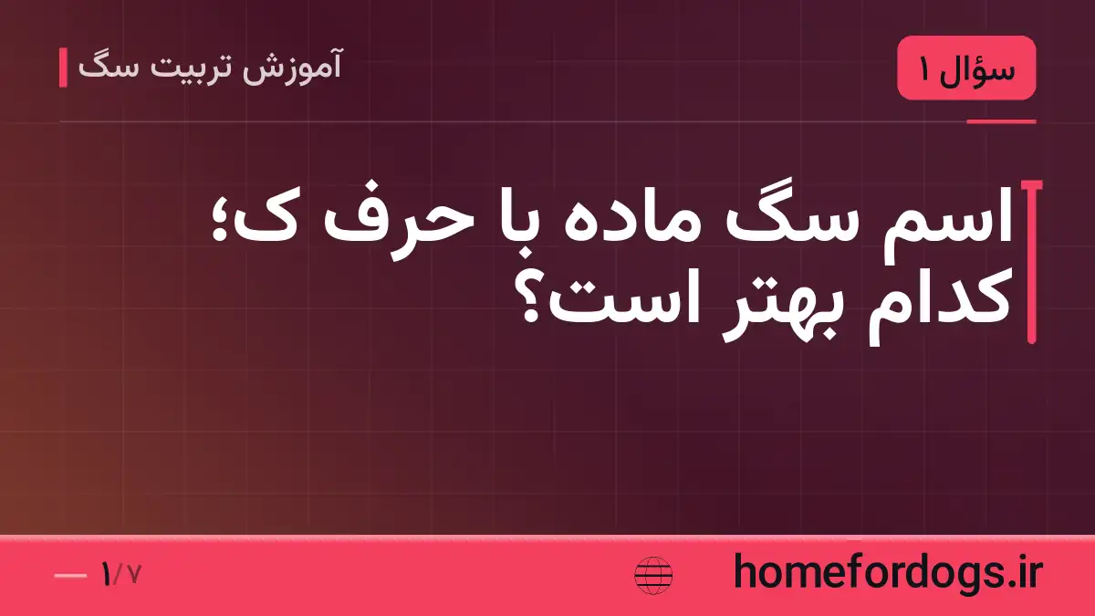 اسم سگ ماده با حرف ک؛ کدام بهتر است؟