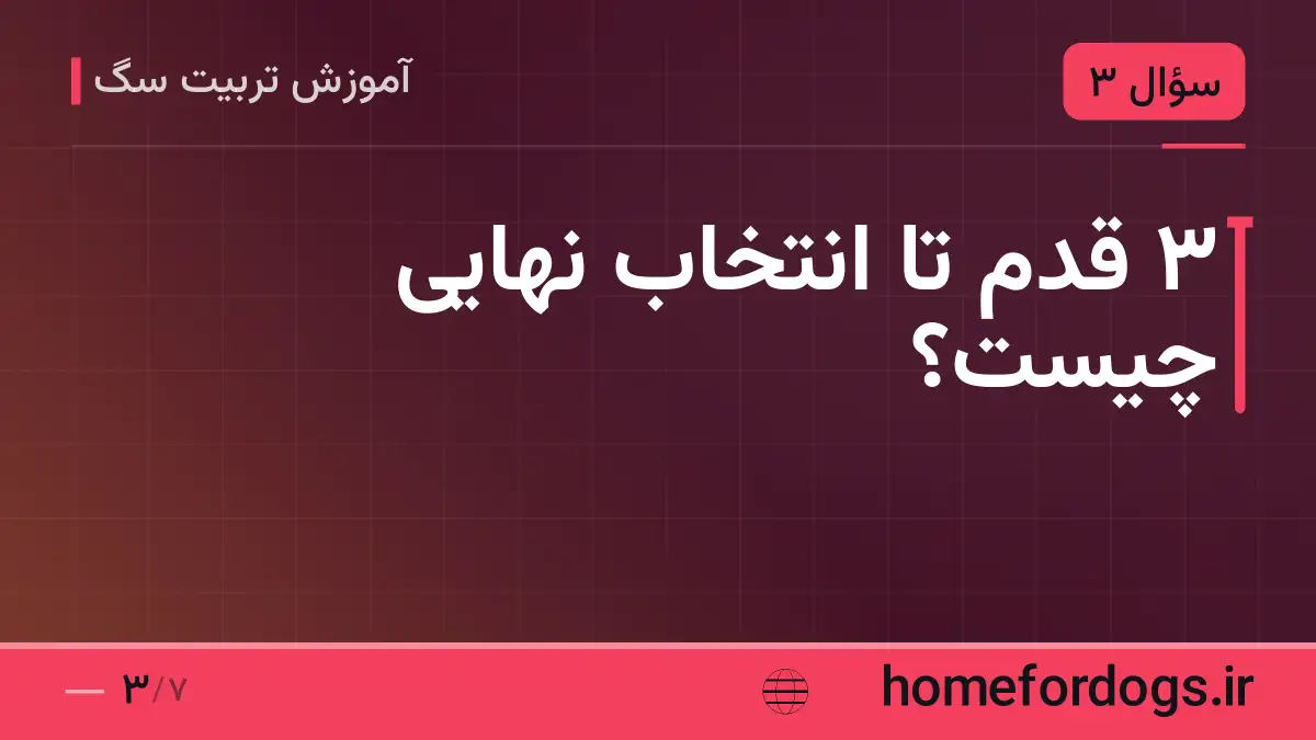 ۳ قدم تا انتخاب نهایی چیست؟