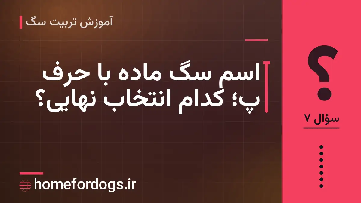 اسم سگ ماده با حرف پ؛ کدام انتخاب نهایی؟