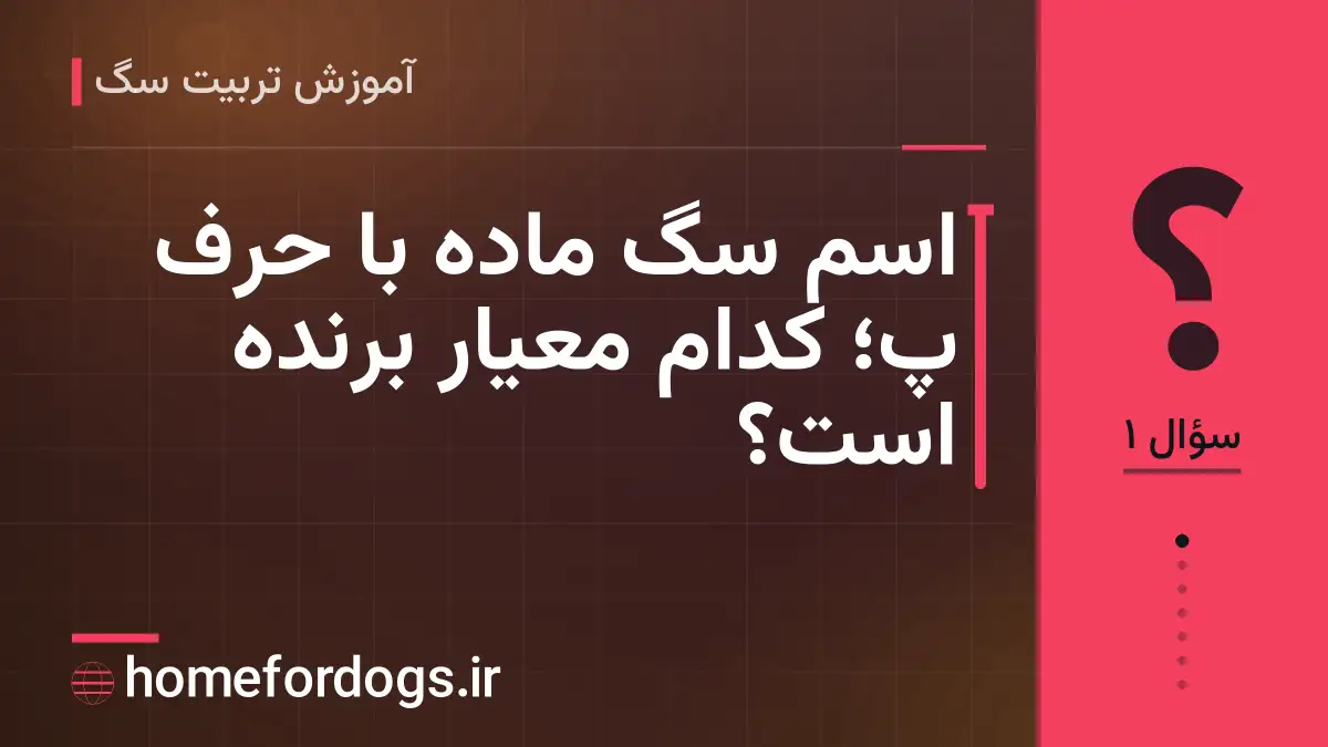 اسم سگ ماده با حرف پ؛ کدام معیار برنده است؟