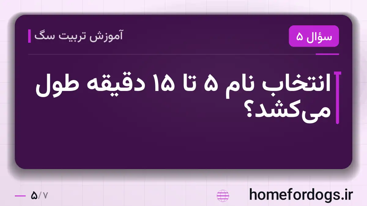 انتخاب نام ۵ تا ۱۵ دقیقه طول می‌کشد؟