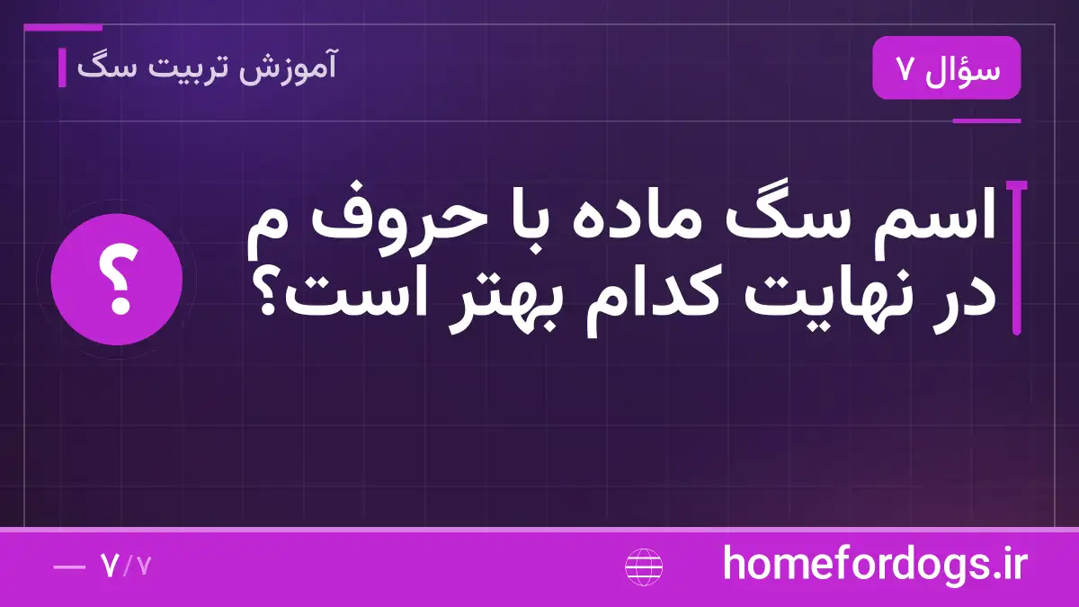 اسم سگ ماده با حروف م در نهایت کدام بهتر است؟