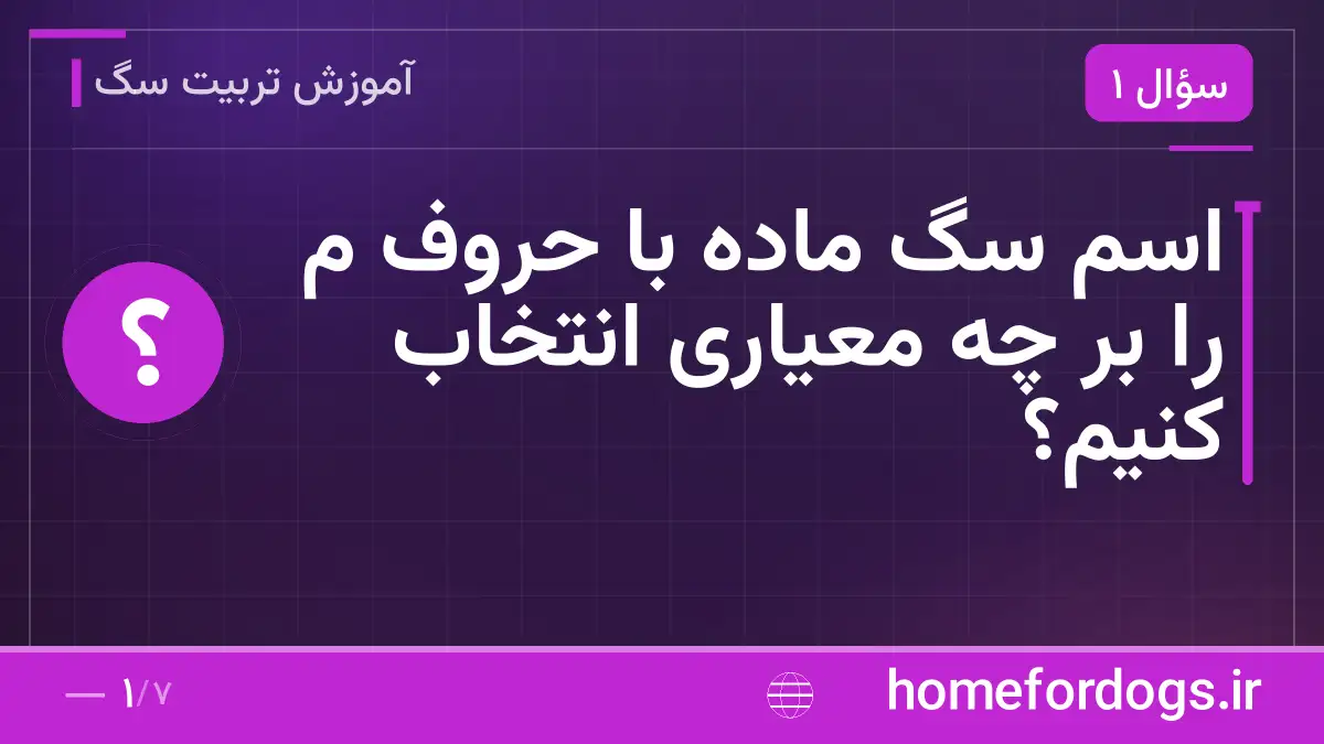 اسم سگ ماده با حروف م را بر چه معیاری انتخاب کنیم؟