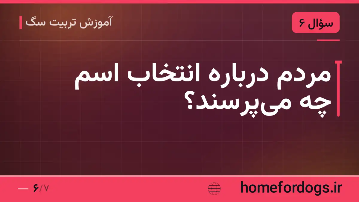 مردم درباره انتخاب اسم چه می‌پرسند؟