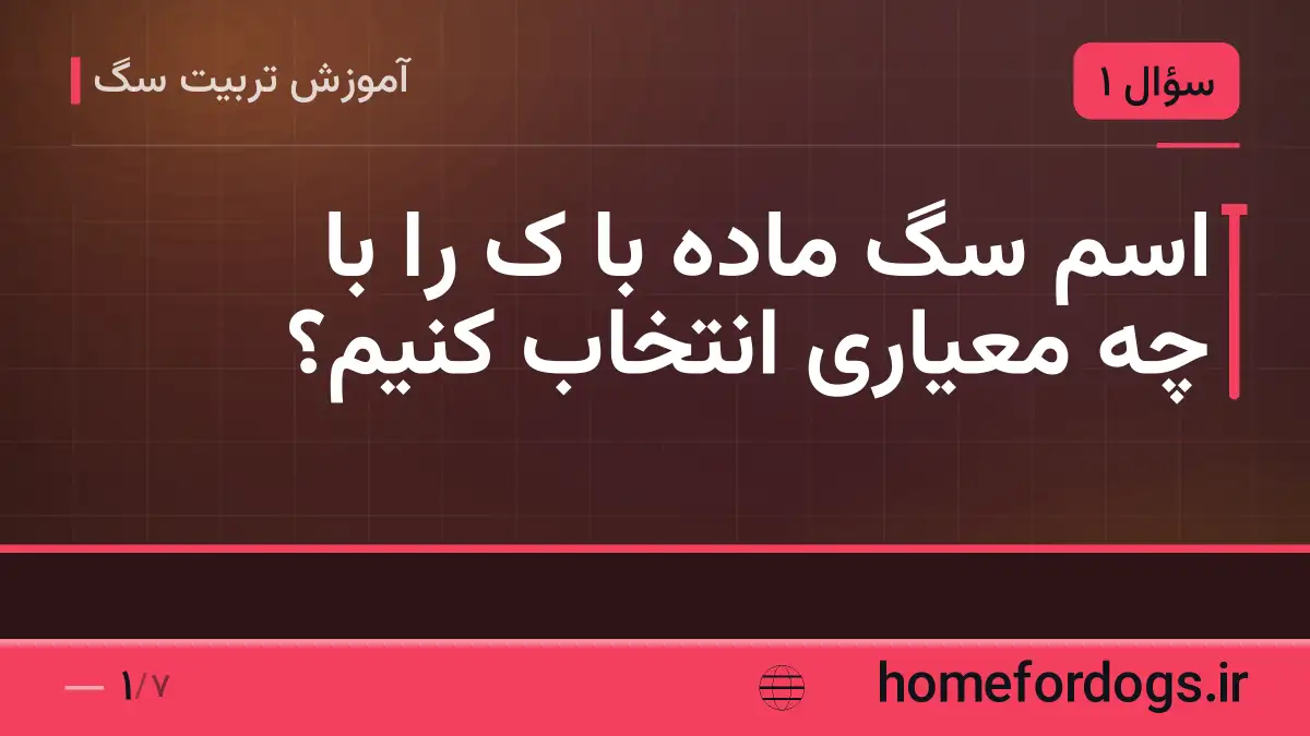 اسم سگ ماده با ک را با چه معیاری انتخاب کنیم؟