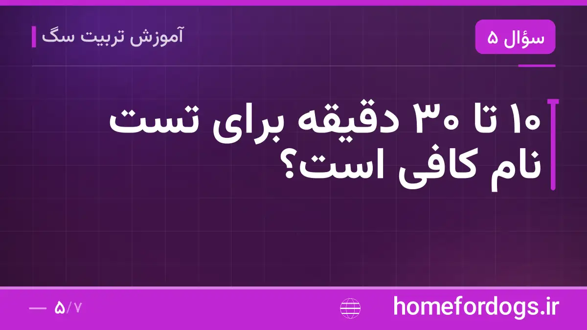 ۱۰ تا ۳۰ دقیقه برای تست نام کافی است؟