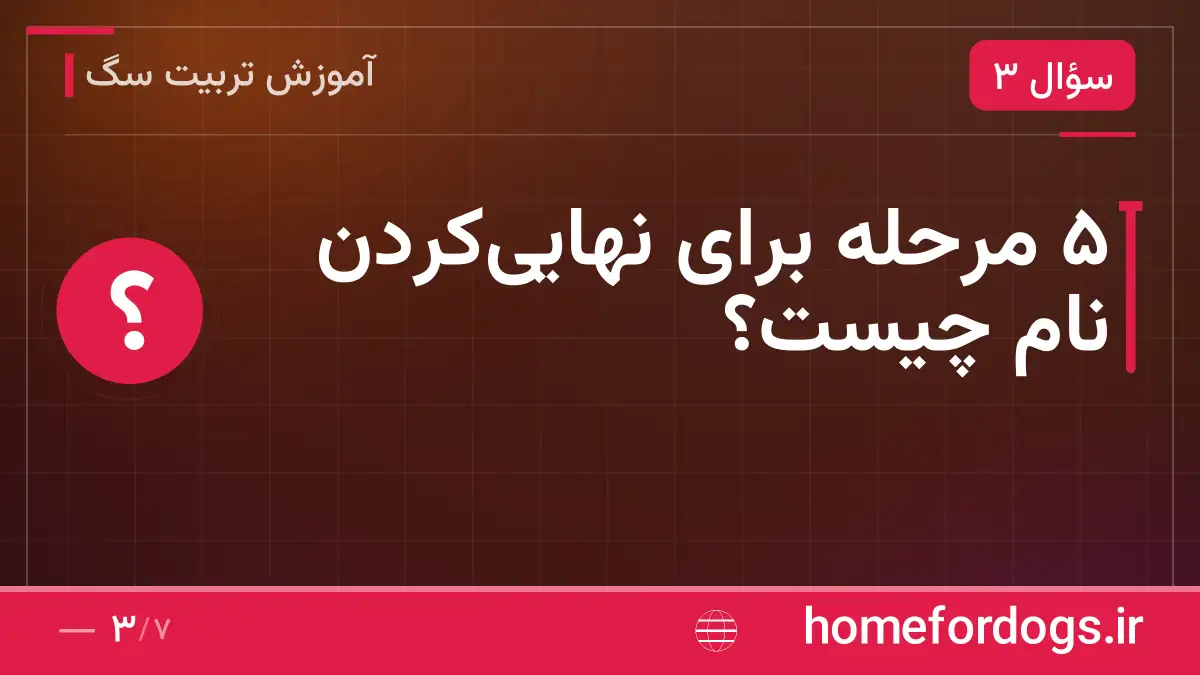 ۵ مرحله برای نهایی‌کردن نام چیست؟
