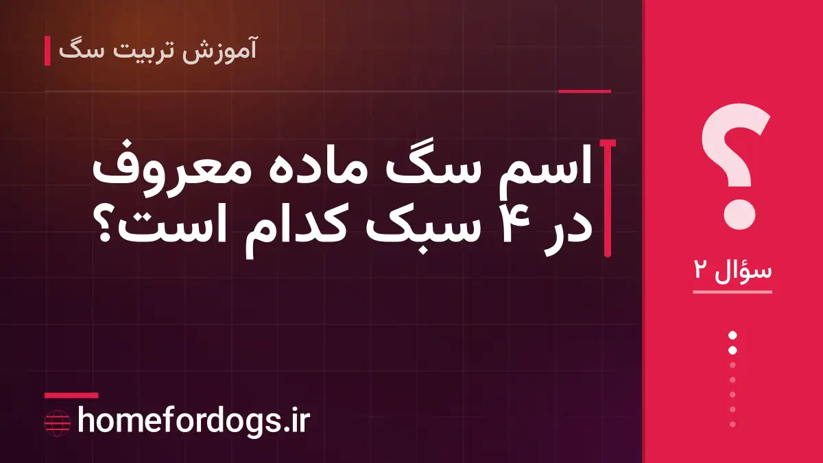 اسم سگ ماده معروف در ۴ سبک کدام است؟