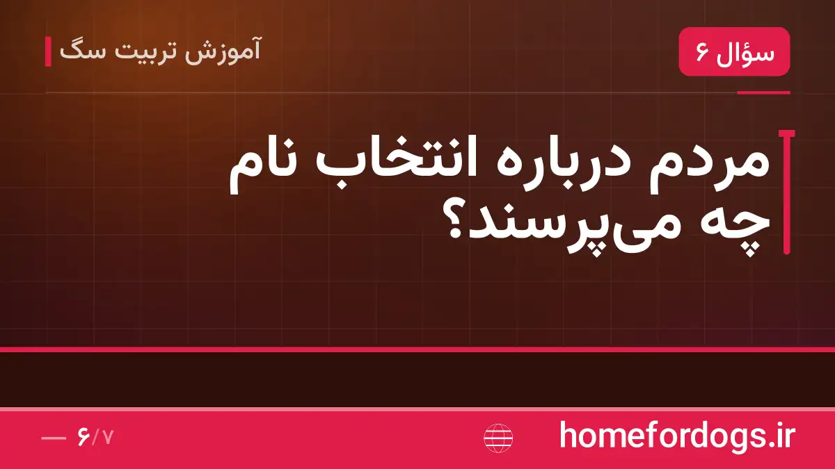 مردم درباره انتخاب نام چه می‌پرسند؟