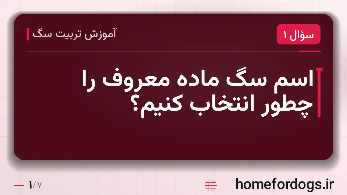اسم سگ ماده معروف را چطور انتخاب کنیم؟