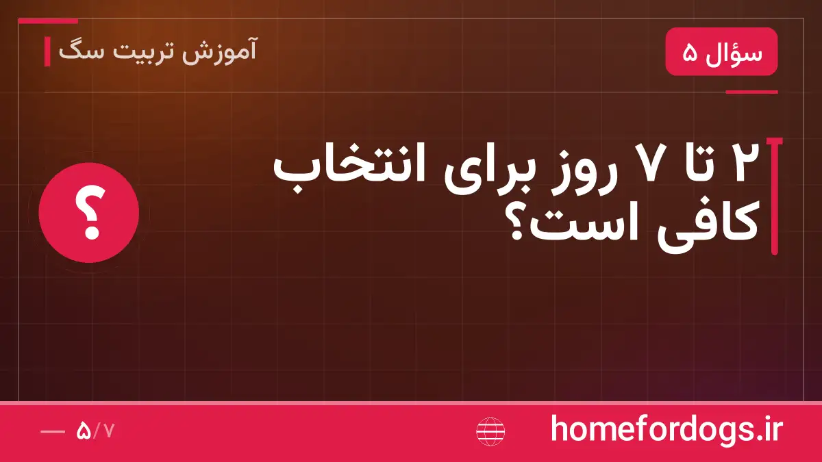 ۲ تا ۷ روز برای انتخاب کافی است؟