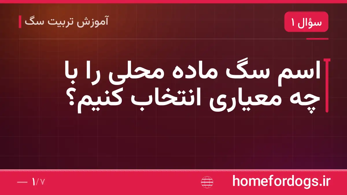 اسم سگ ماده محلی را با چه معیاری انتخاب کنیم؟