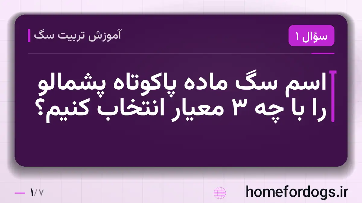 اسم سگ ماده پاکوتاه پشمالو را با چه ۳ معیار انتخاب کنیم؟