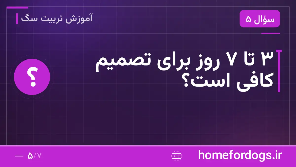 ۳ تا ۷ روز برای تصمیم کافی است؟