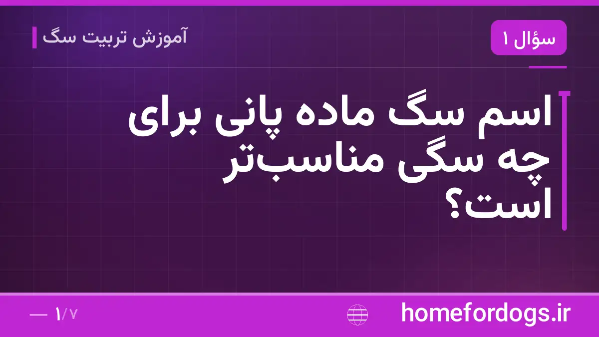 اسم سگ ماده پانی برای چه سگی مناسب‌تر است؟
