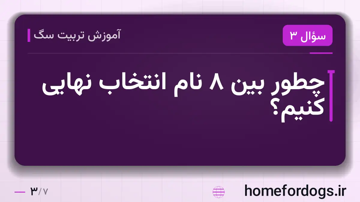 چطور بین ۸ نام انتخاب نهایی کنیم؟
