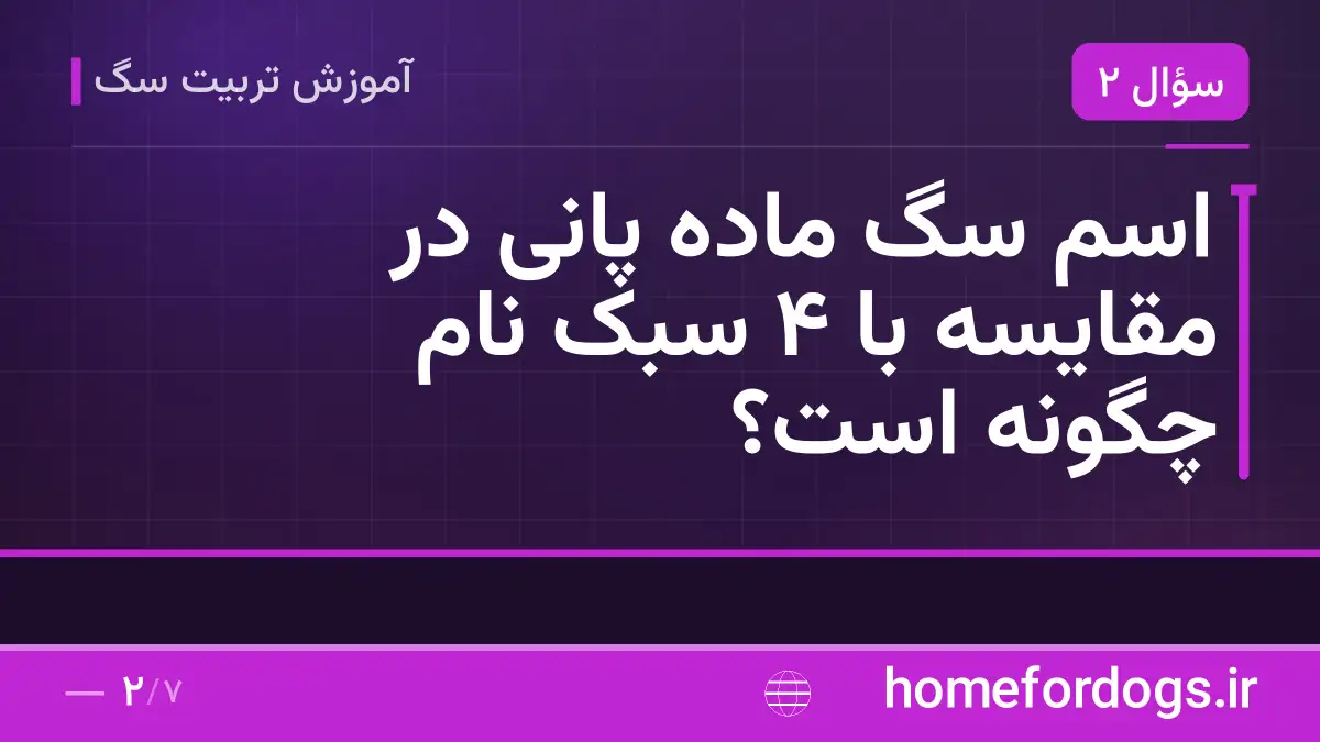 اسم سگ ماده پانی در مقایسه با ۴ سبک نام چگونه است؟