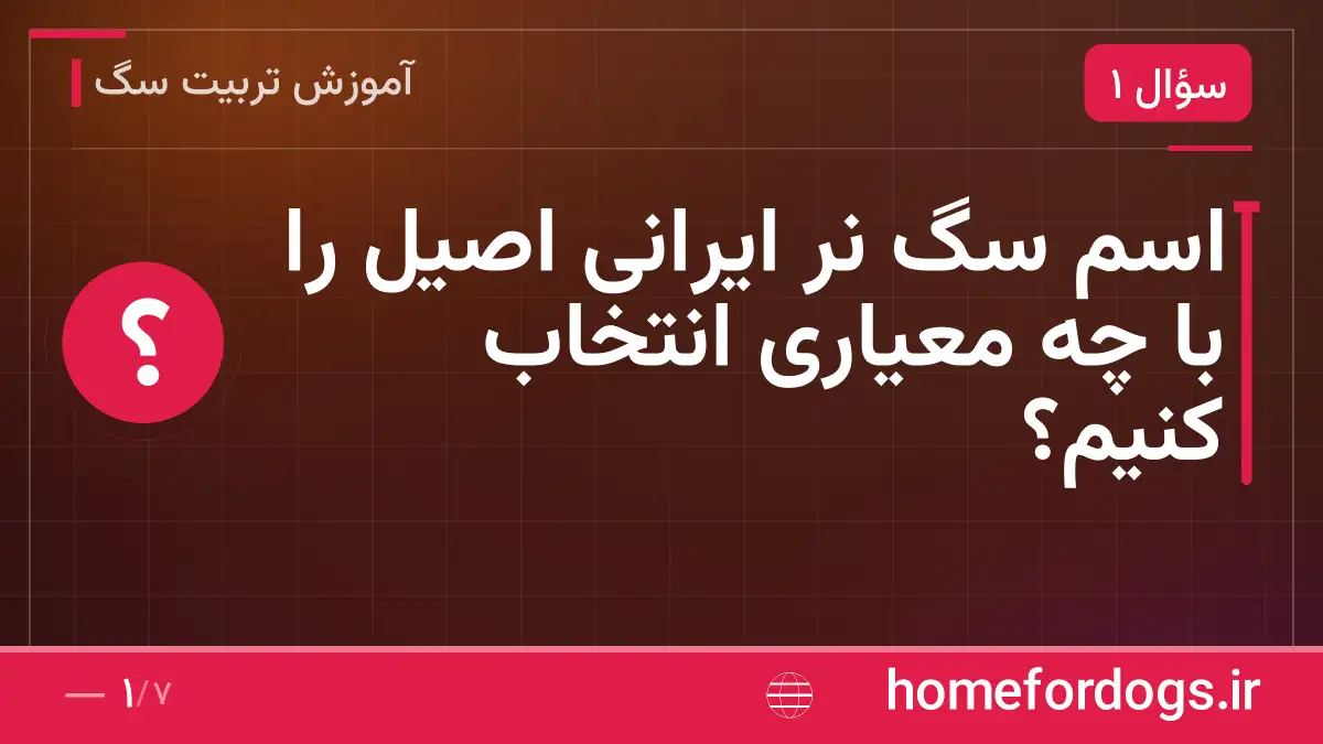اسم سگ نر ایرانی اصیل را با چه معیاری انتخاب کنیم؟