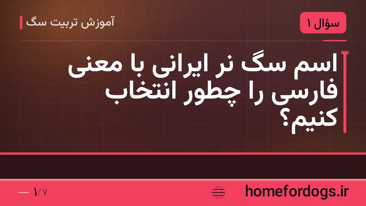 اسم سگ نر ایرانی با معنی فارسی را چطور انتخاب کنیم؟