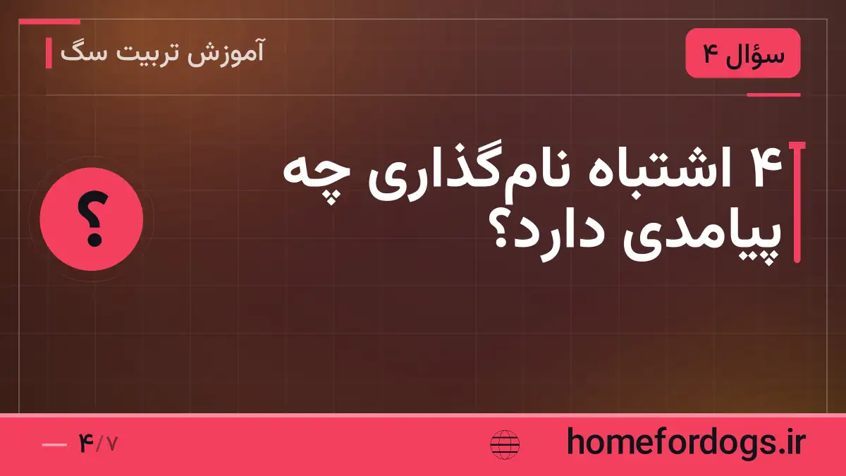 ۴ اشتباه نامگذاری چه پیامدی دارد؟