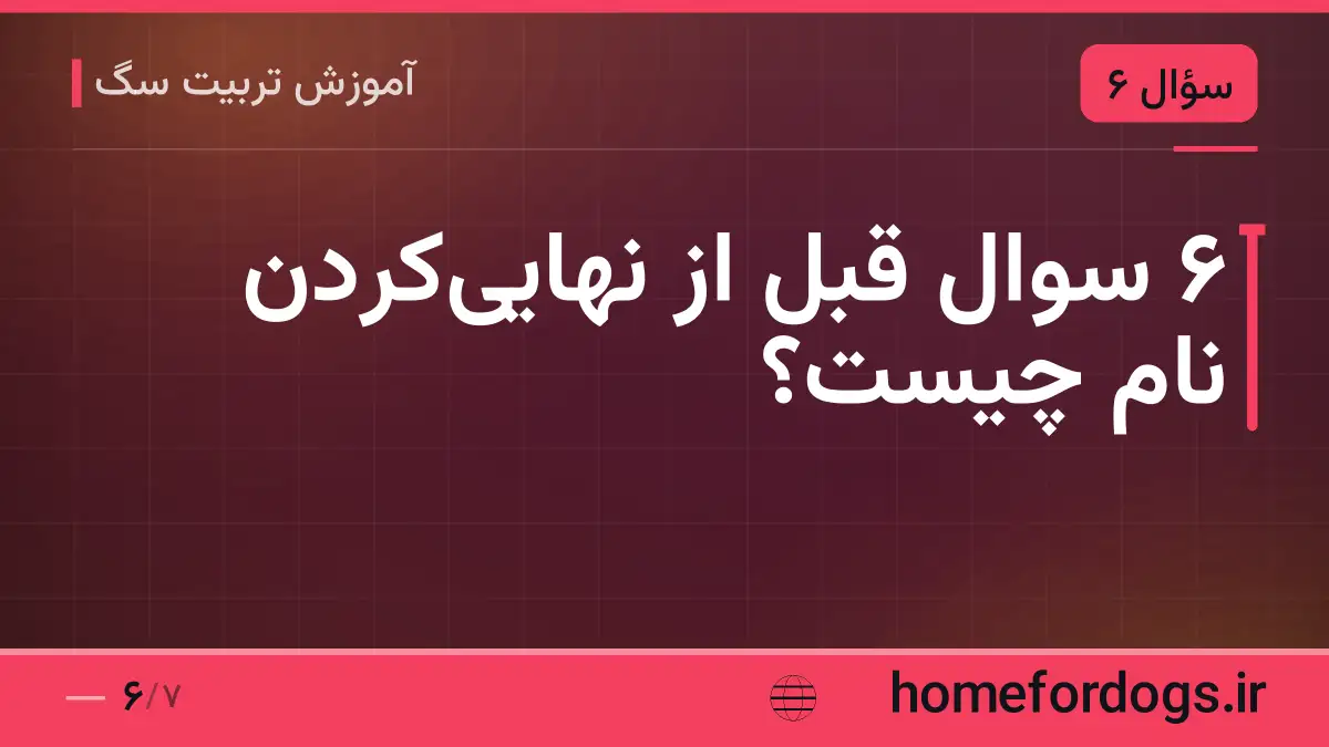 ۶ سوال قبل از نهاییکردن نام چیست؟