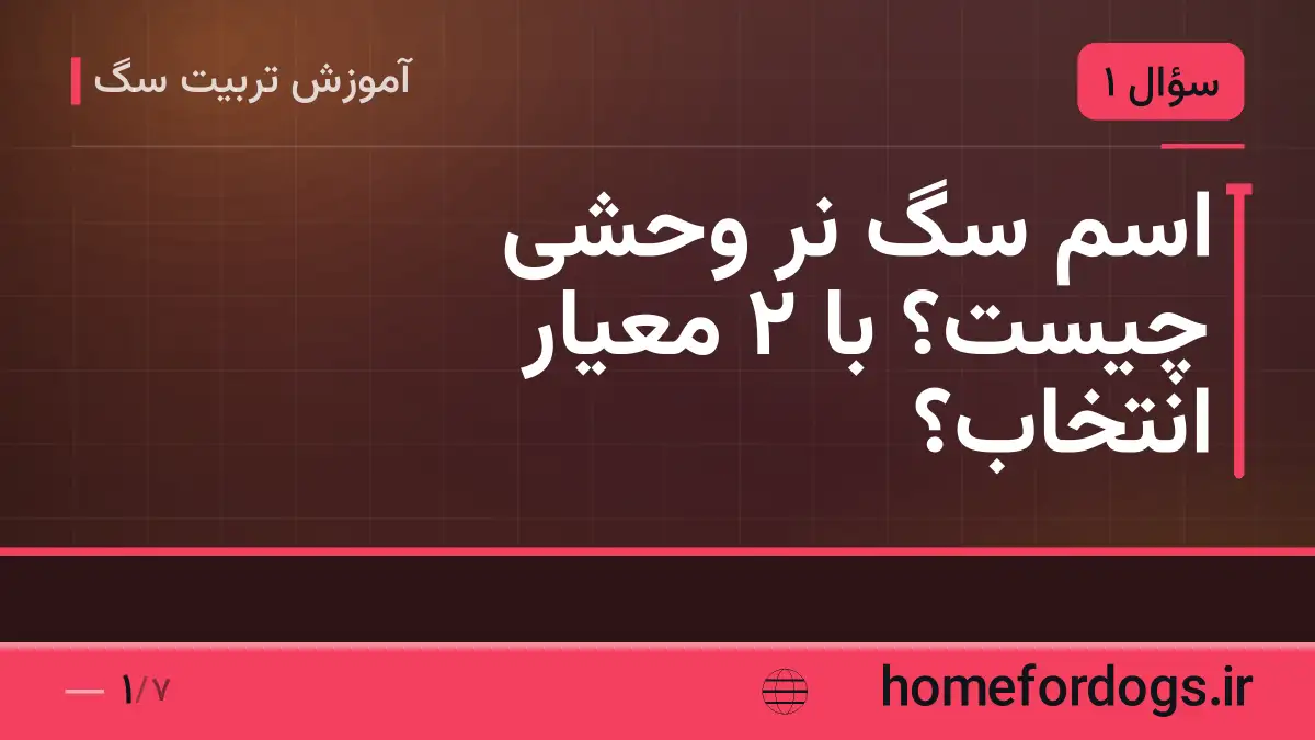 اسم سگ نر وحشی چیست؟ با ۲ معیار انتخاب؟