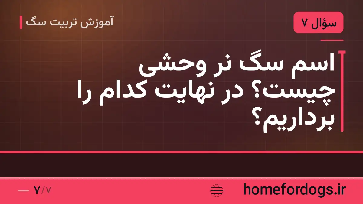اسم سگ نر وحشی چیست؟ در نهایت کدام را برداریم؟