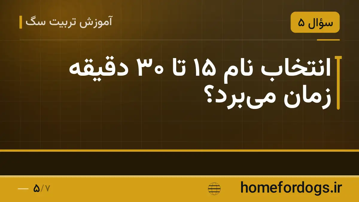 انتخاب نام ۱۵ تا ۳۰ دقیقه زمان می‌برد؟