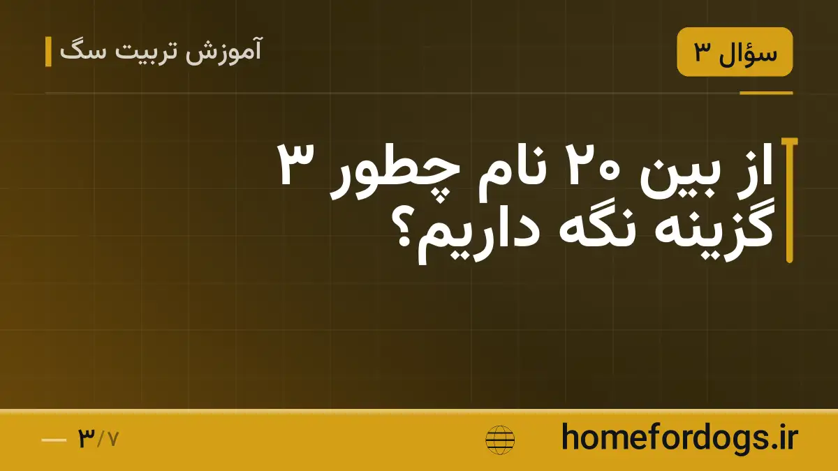 از بین ۲۰ نام چطور ۳ گزینه نگه داریم؟