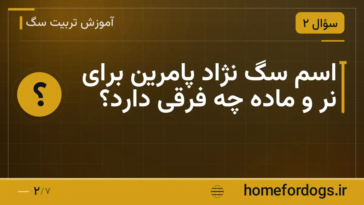 اسم سگ نژاد پامرین برای نر و ماده چه فرقی دارد؟