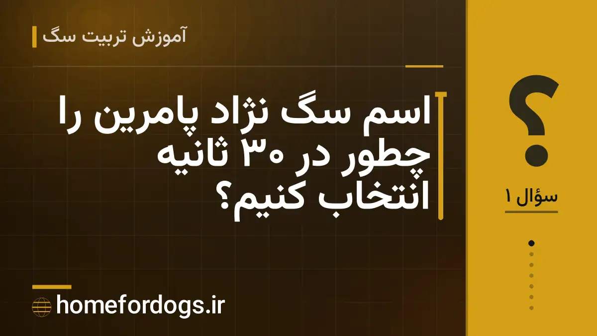 اسم سگ نژاد پامرین را چطور در ۳۰ ثانیه انتخاب کنیم؟