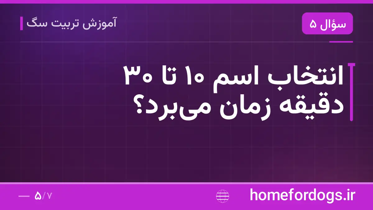 انتخاب اسم ۱۰ تا ۳۰ دقیقه زمان می‌برد؟