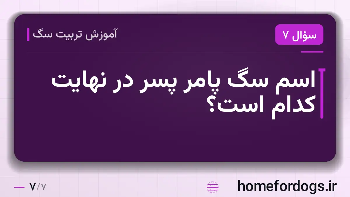 اسم سگ پامر پسر در نهایت کدام است؟
