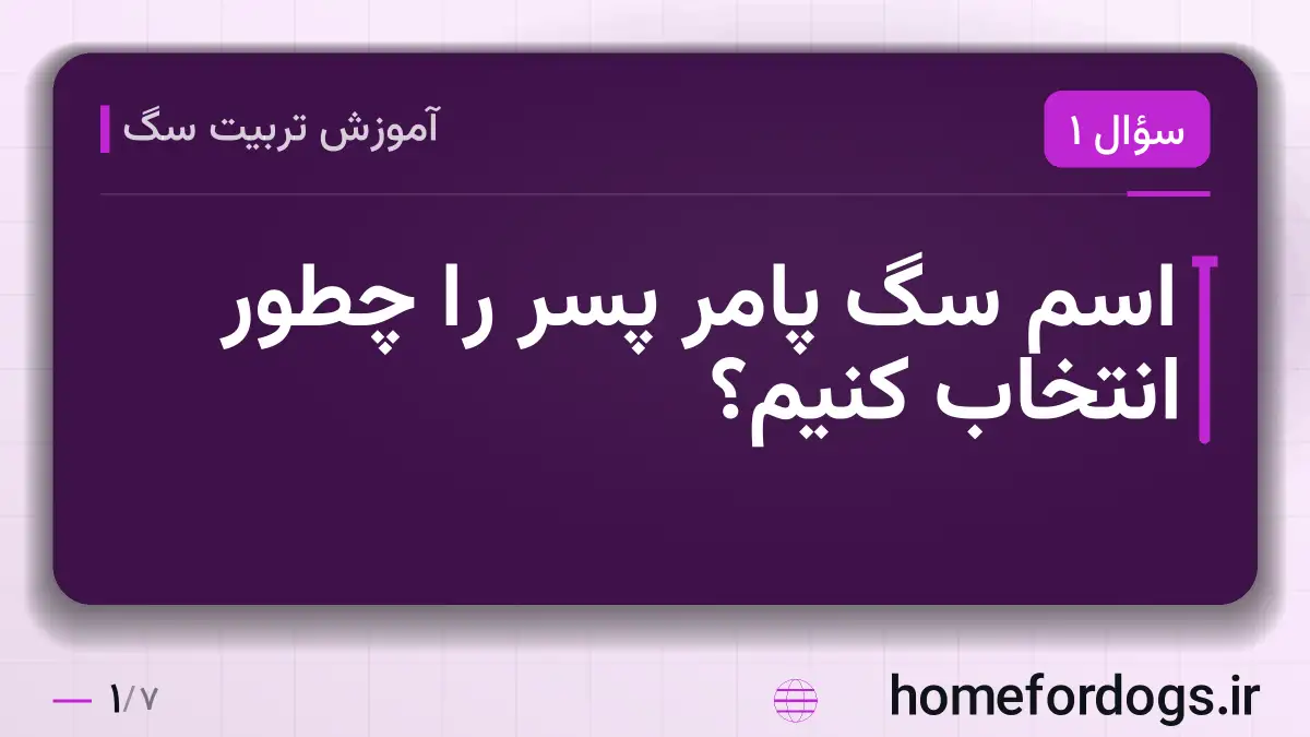 اسم سگ پامر پسر را چطور انتخاب کنیم؟