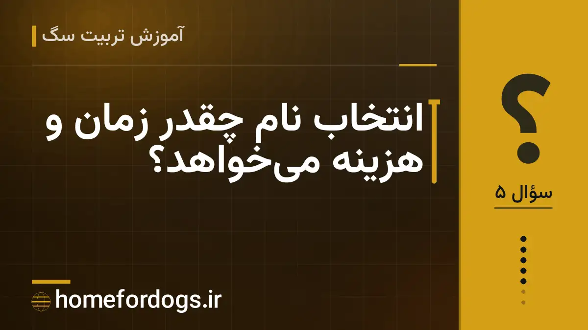 انتخاب نام چقدر زمان و هزینه می‌خواهد؟