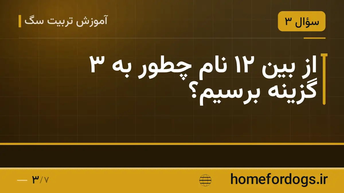 از بین ۱۲ نام چطور به ۳ گزینه برسیم؟