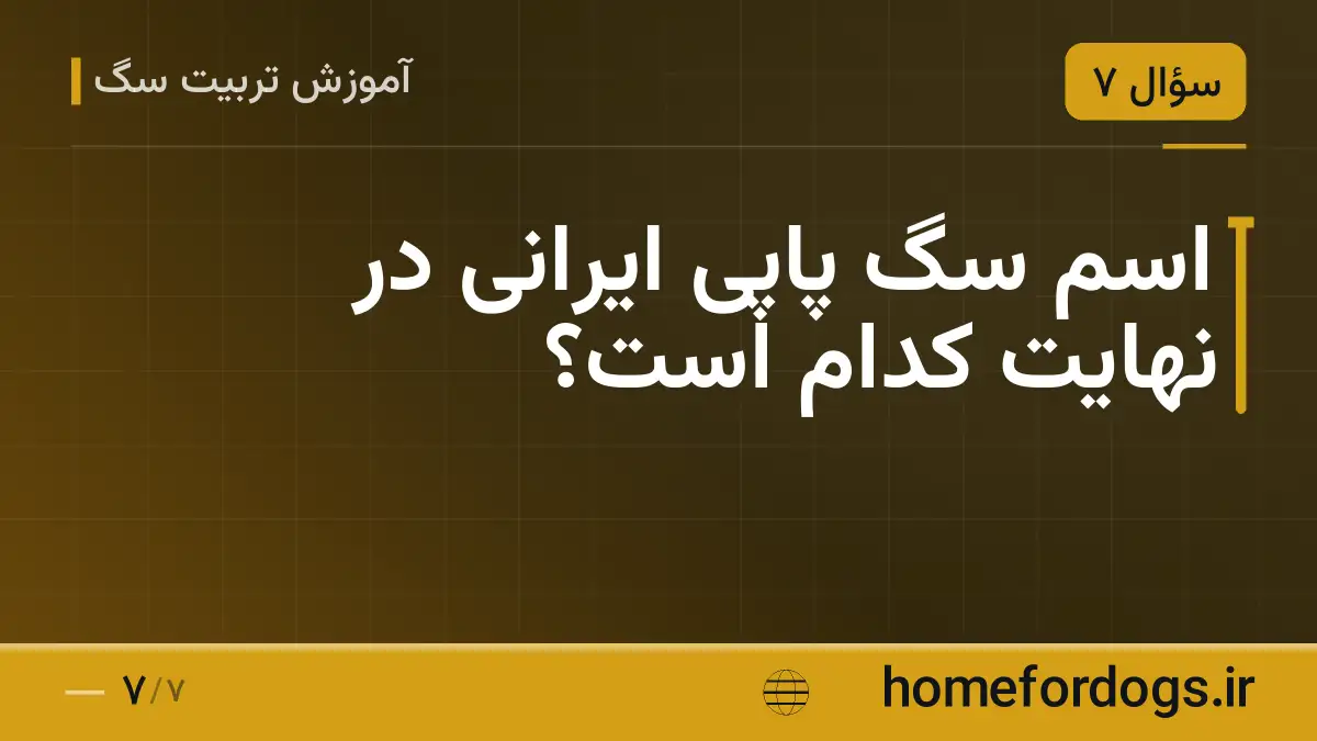 اسم سگ پاپی ایرانی در نهایت کدام است؟