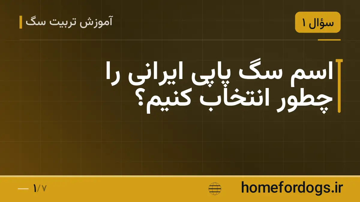 اسم سگ پاپی ایرانی را چطور انتخاب کنیم؟