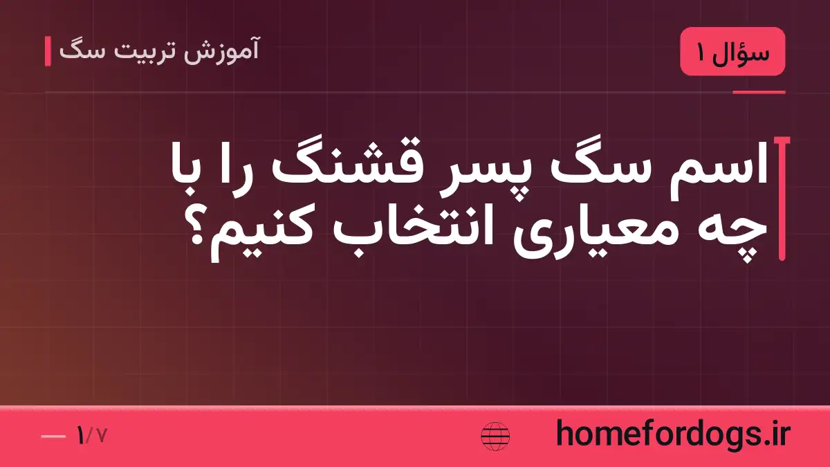 اسم سگ پسر قشنگ را با چه معیاری انتخاب کنیم؟