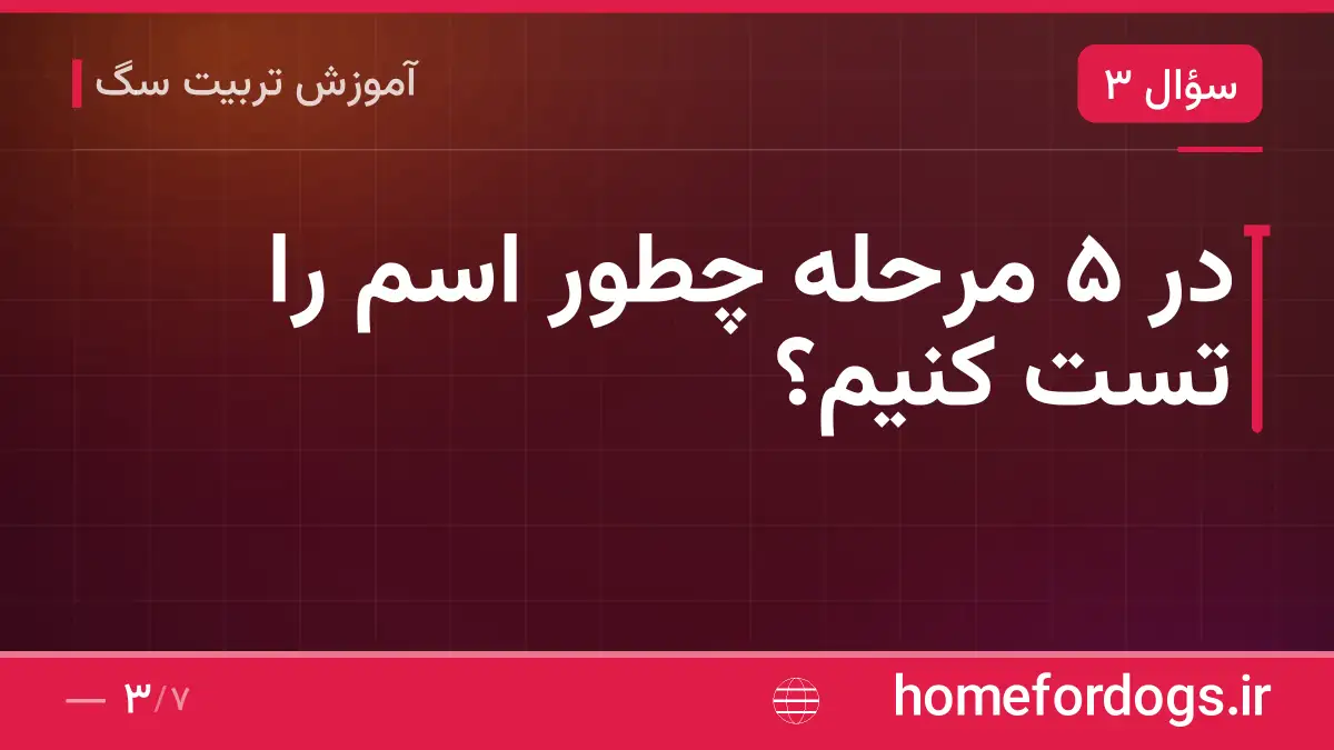 در ۵ مرحله چطور اسم را تست کنیم؟