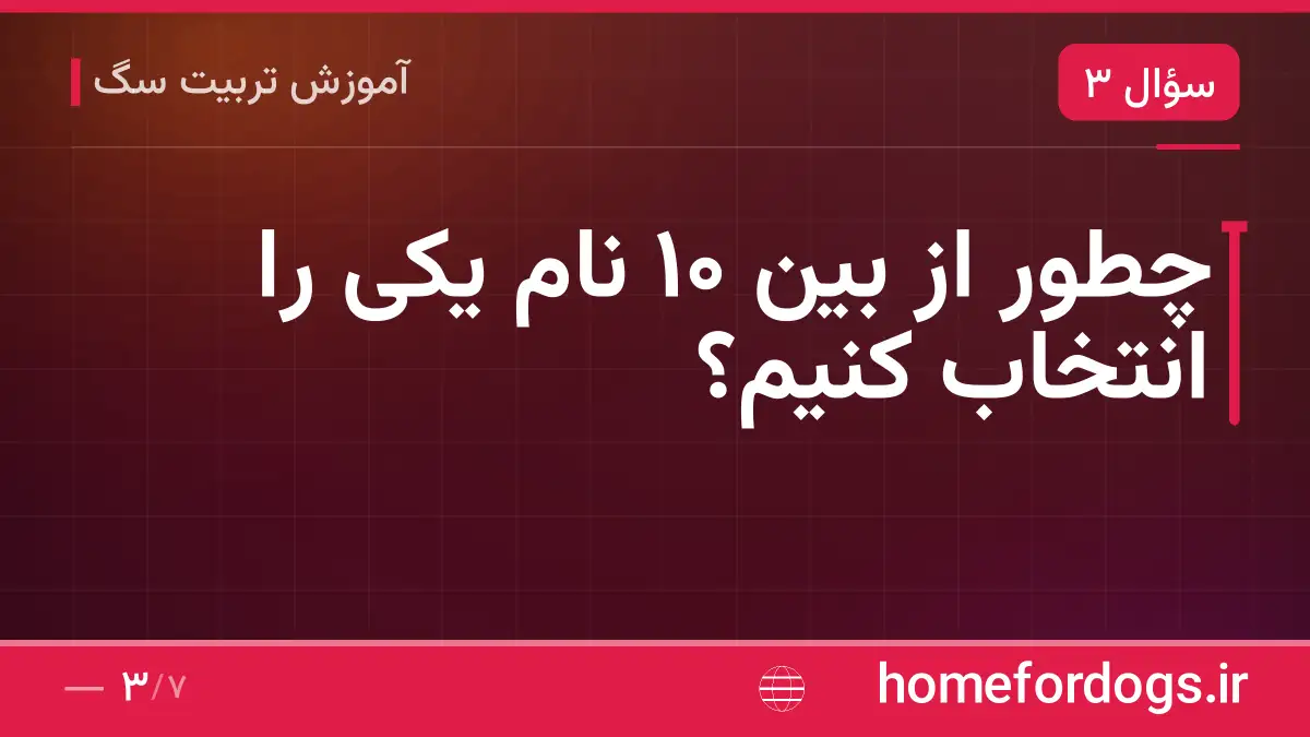 چطور از بین ۱۰ نام یکی را انتخاب کنیم؟