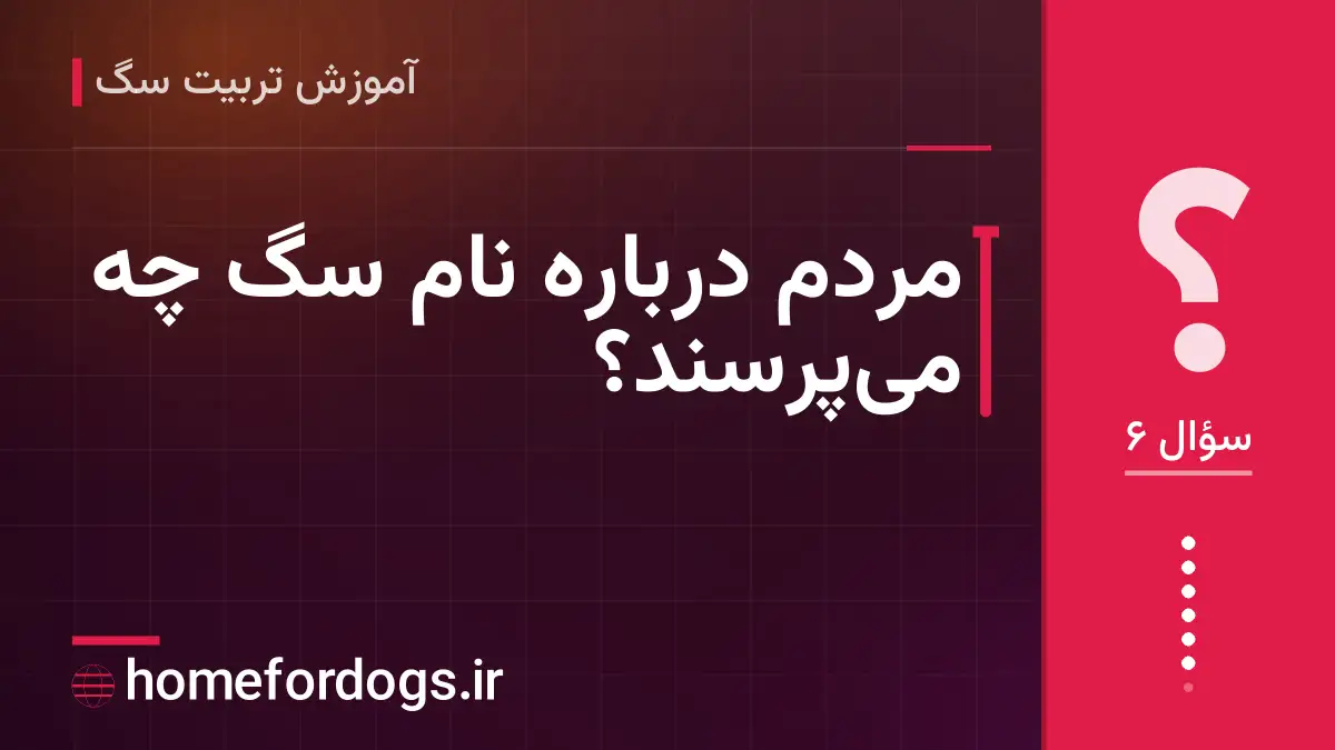 مردم درباره نام سگ چه میپرسند؟
