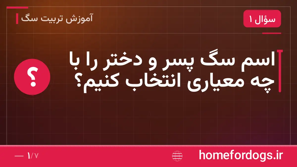 اسم سگ پسر و دختر را با چه معیاری انتخاب کنیم؟