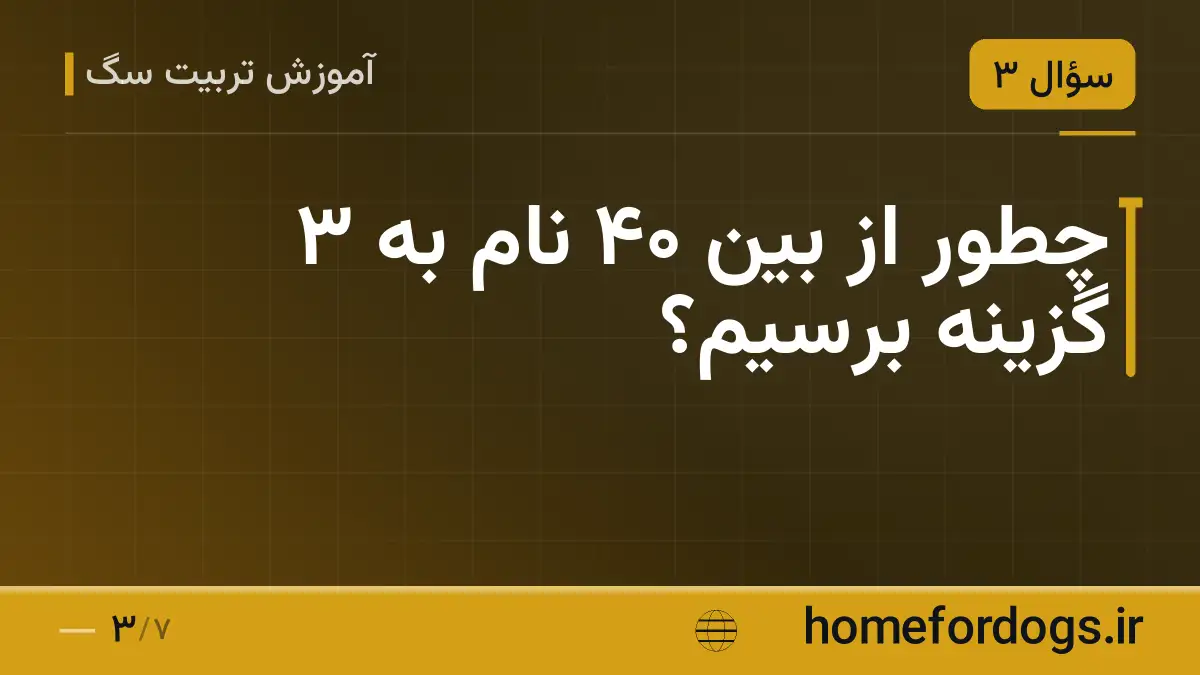 چطور از بین ۴۰ نام به ۳ گزینه برسیم؟
