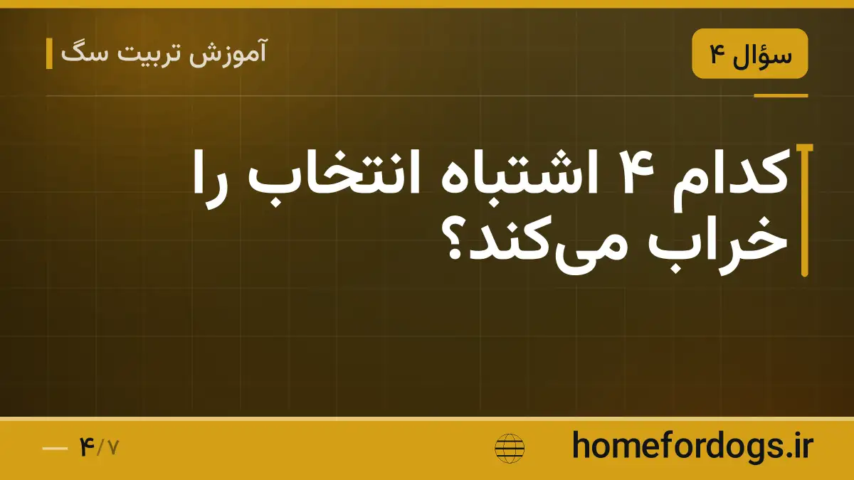 کدام ۴ اشتباه انتخاب را خراب میکند؟